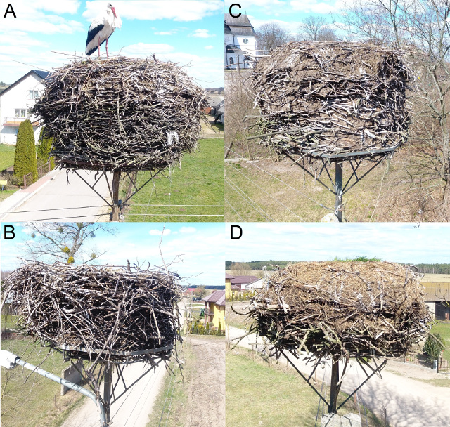 Nest images